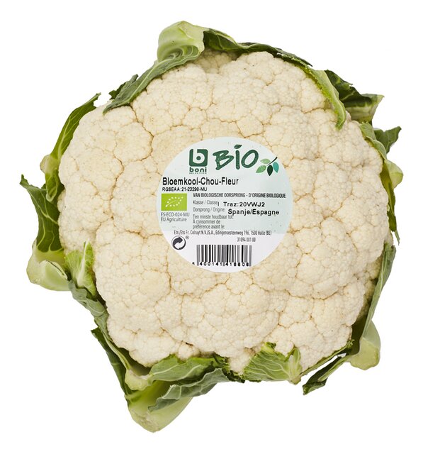 Bloemkool BIO