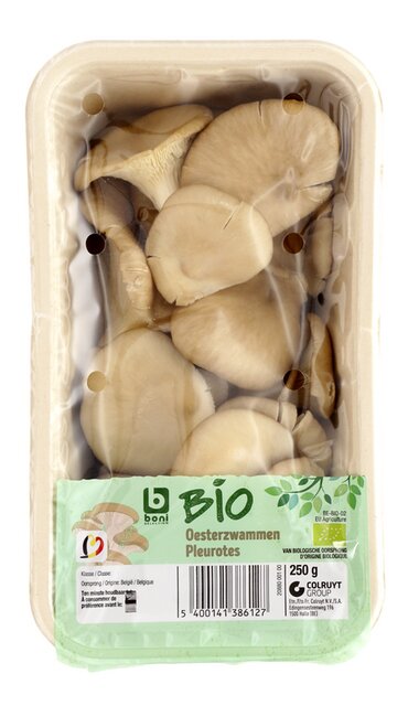 Oesterzwammen BIO 250g