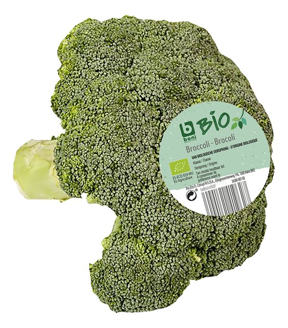 Broccoli BIO 400g