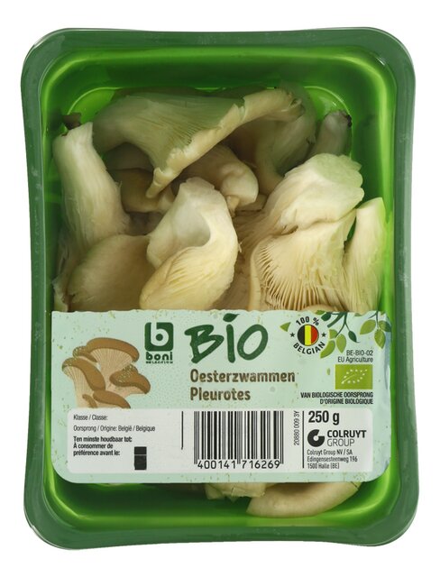 Oesterzwammen BIO 250g