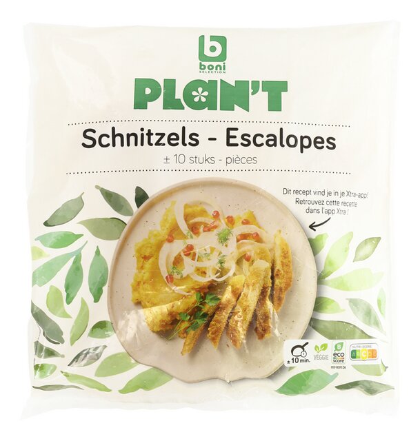 Escalope végétarienne 100gx10