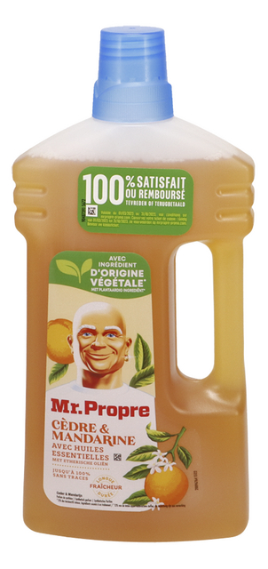 Nettoyant multi-usages Mr Propre océan - Bidon de 5 litres