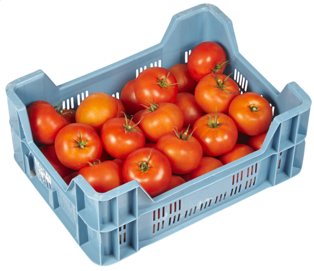 Tomaten extra 6kg