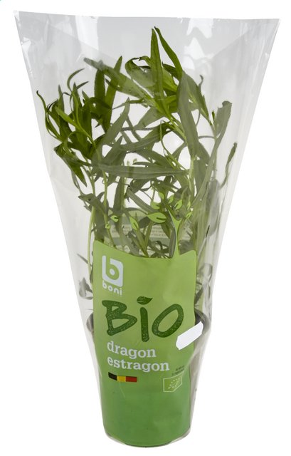 Dragon vers BIO in pot 200g