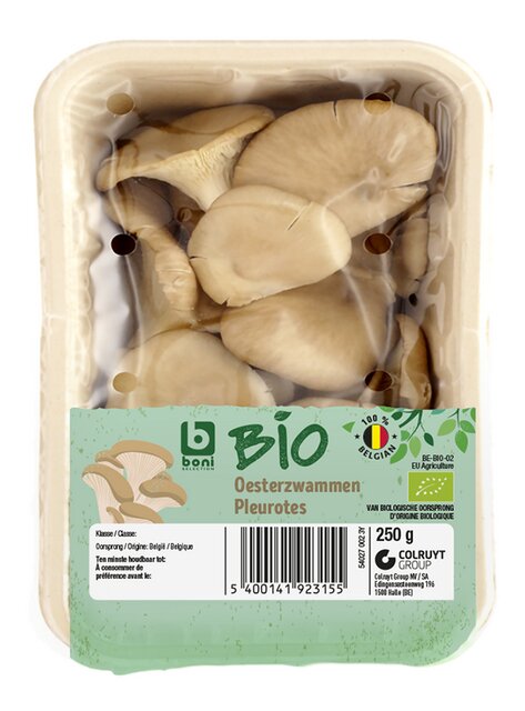 Oesterzwammen BIO 250g