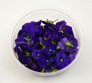 Eetbare bloemen blauwe viooltjes 25g