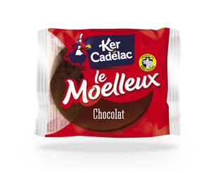 Cake Moelleux chocolade 40gx100