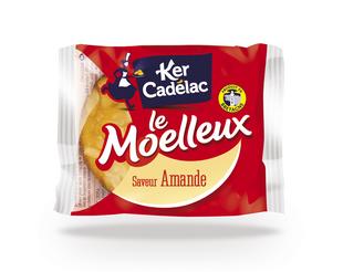 Cake Moelleux amandel 40gx100