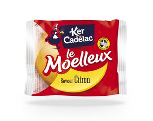 Cake Moelleux citroen 40gx100