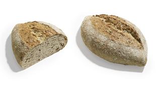 Boulot multigrain Sourdough 600gx11
