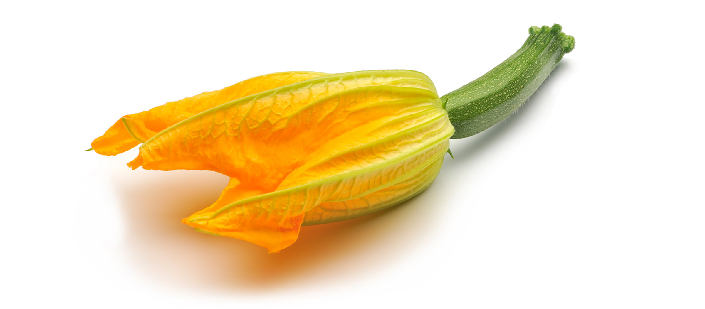 Courgette bloem 177 40g Solucious
