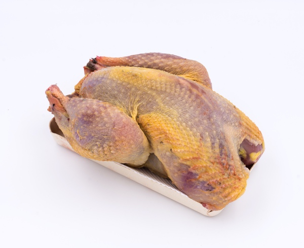 Coq faisan ±1kg