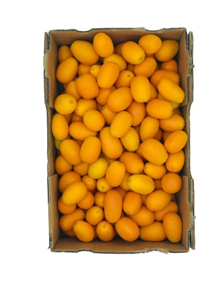 Kumquats KIST 1kg