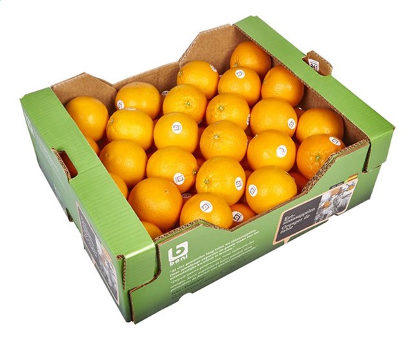 Perssinaasappelen (zumex fit) 15kg