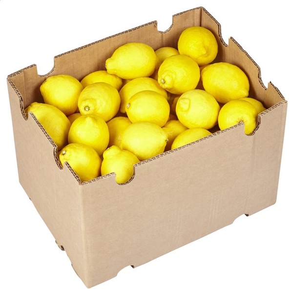 Citrons 5kg