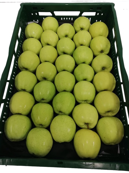 Pommes Golden 7kg