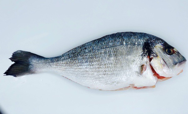 Dorade royal vidé et écaillé ±400g 4p ±1,6kg