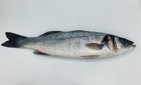 Zeebaars gekuist en ontschubd ±400g 4st ±1,6kg