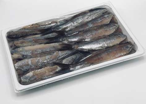 Hollandse nieuwe maatjes handgekuist 10st