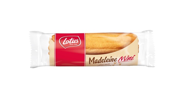 Cake Madeleine mini ind. 17gx60