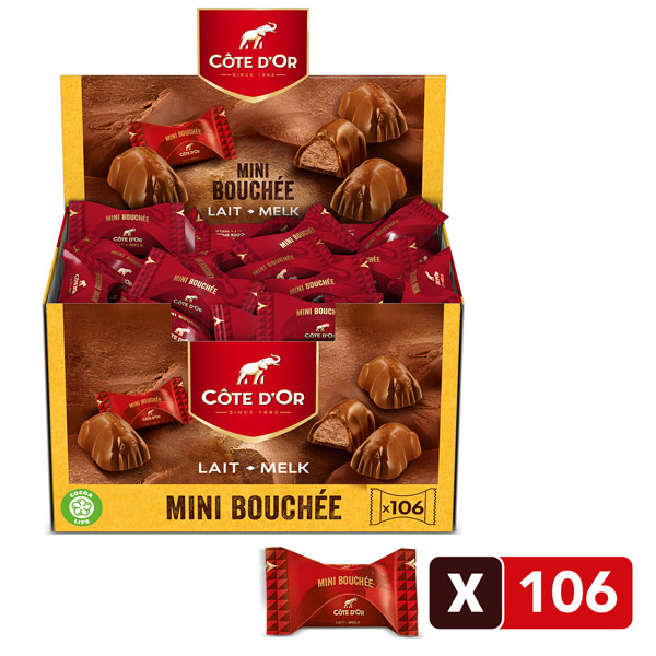 CÔTE D'OR : Mini Roc - Bouchées au chocolat au lait, noisettes et pralinés  - chronodrive