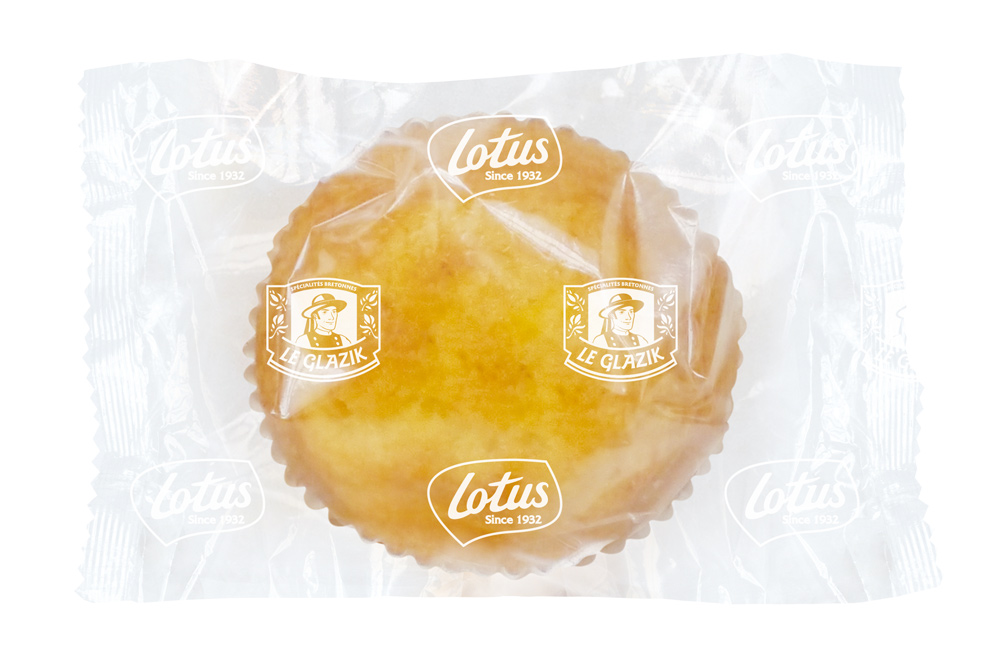 Cake fourré au chocolat Le Glazik ind.38gx30