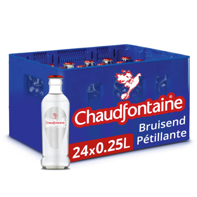 Mineraalwater bruisend SG 25clx24
