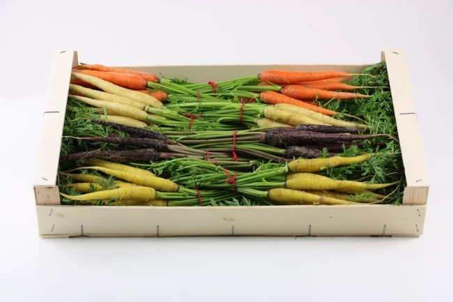 Wortel mix mini bussel 8st