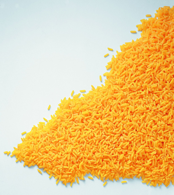 Gele rijst 10kg