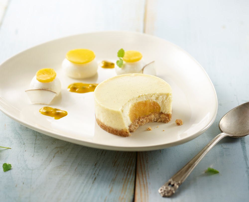 Cheesecake exotisch fruit 100gx20