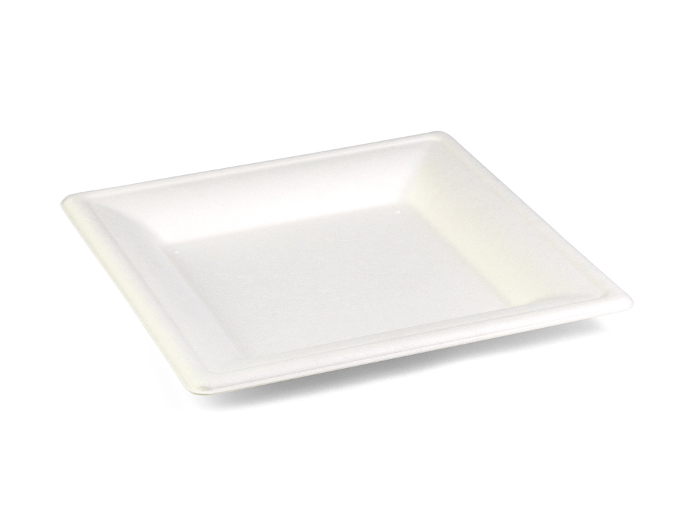 Bord vierkant suikerriet(160x160mm)40st