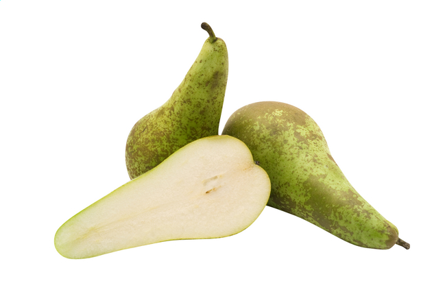 Peren conférence 7kg