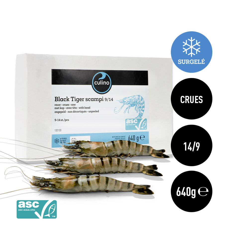 Scampi Black Tiger crues/avec tête/non décort.800g